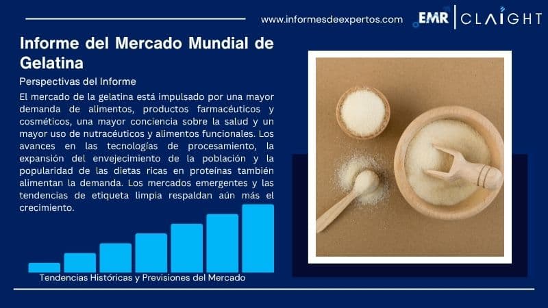 Informe del Mercado de Gelatina