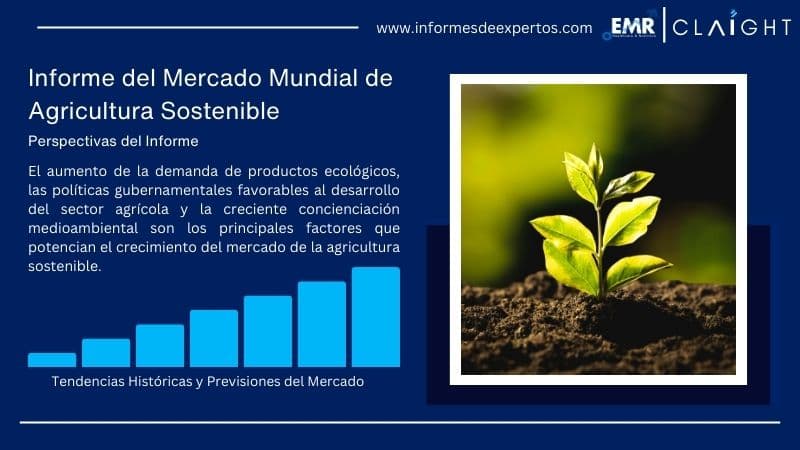Infrorme del Mercado de Agricultura Sostenible