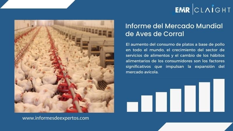 Informe del Mercado de Aves de Corral