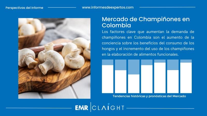 Informe del Mercado de Champiñones en Colombia