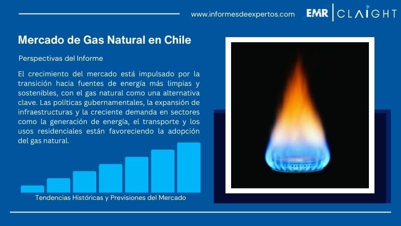 Informe del Mercado de Gas Natural en Chile