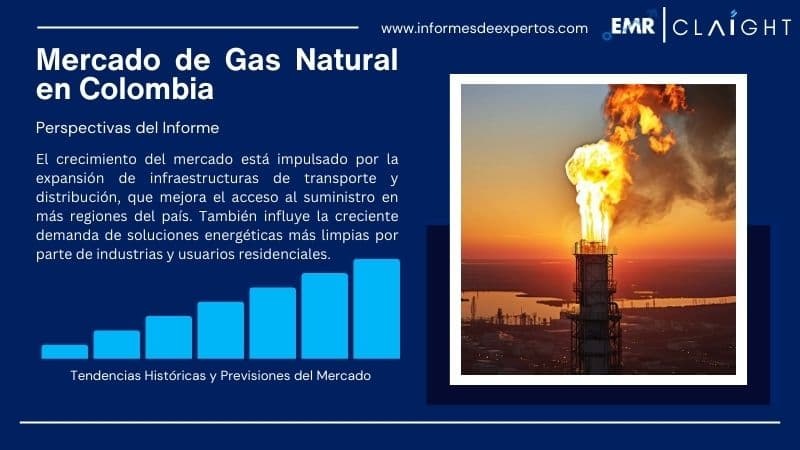 Informe del Mercado de Gas Natural en Colombia