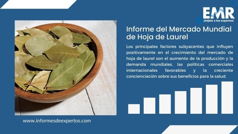 Informe del Mercado de Hoja de Laurel