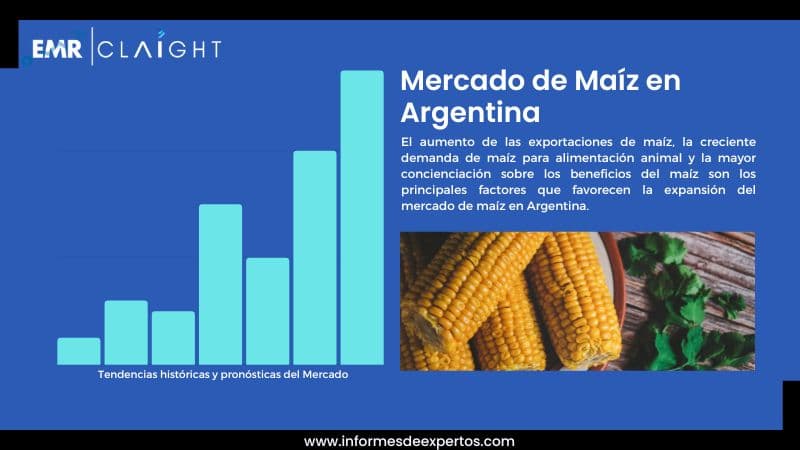 Informe del Mercado de Maíz en Argentina