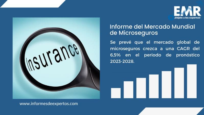 Informe del Mercado de Microseguros