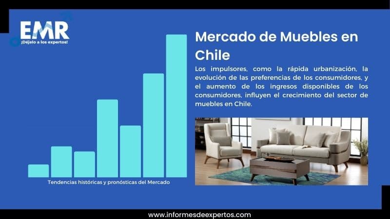 Informe del Mercado de Muebles en Chile