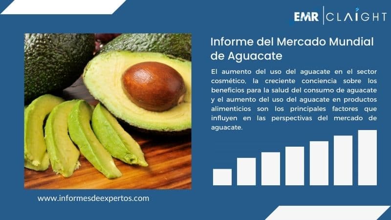 Informe del Mercado de Aguacate