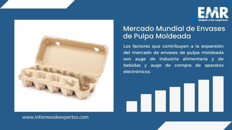 Informe del Mercado de Envases de Pulpa Moldeada