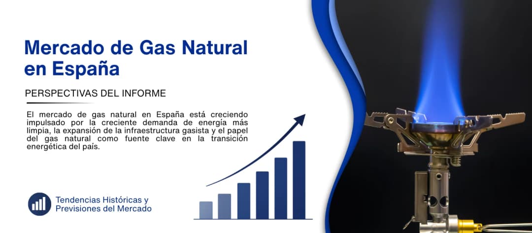 informe del mercado de gas natural en espana