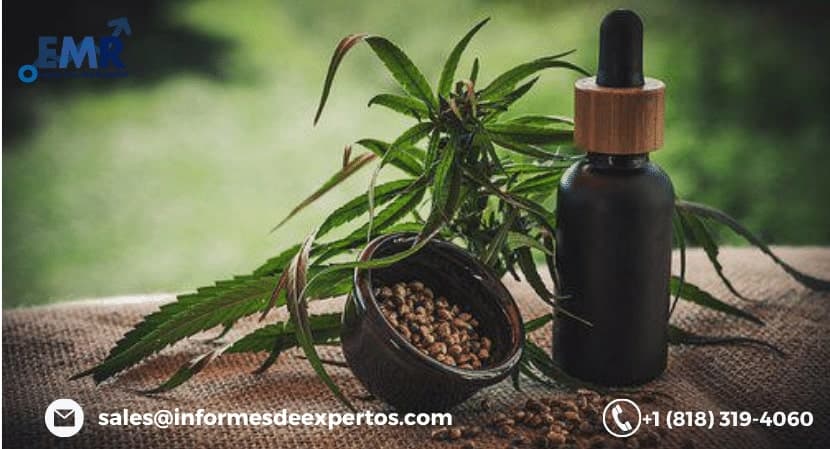 Las 5 Empresas Mejores de Cannabis Medicinal en México