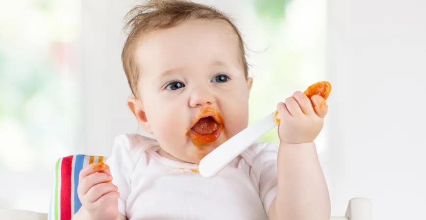 Las 5 Firmas Líderes de Alimentos para Bebés y Fórmulas Infantiles en América Latina que Forman el Futuro Saludable de un Niño