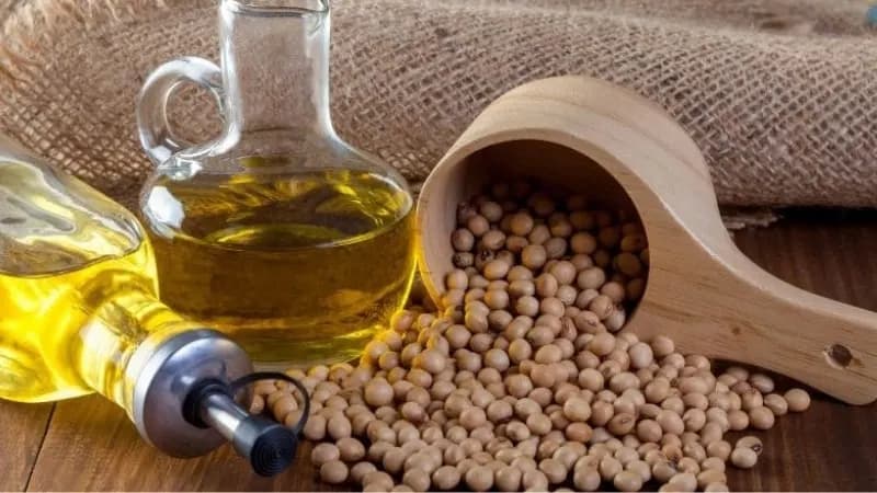 Las 5 Principales Empresas de Aceite de Soja que Impulsan a la Gente a Elegir un Mejor Aceite de Cocina en América Latina