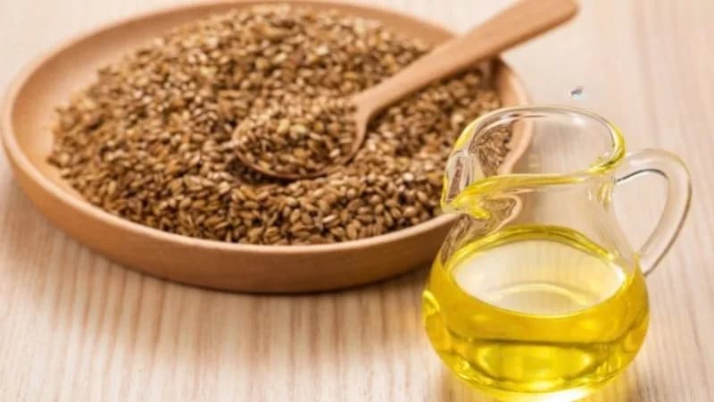 Las 5 Empresas de Aceite de Linaza que Promueven la Salud y la Nutrición en América Latina
