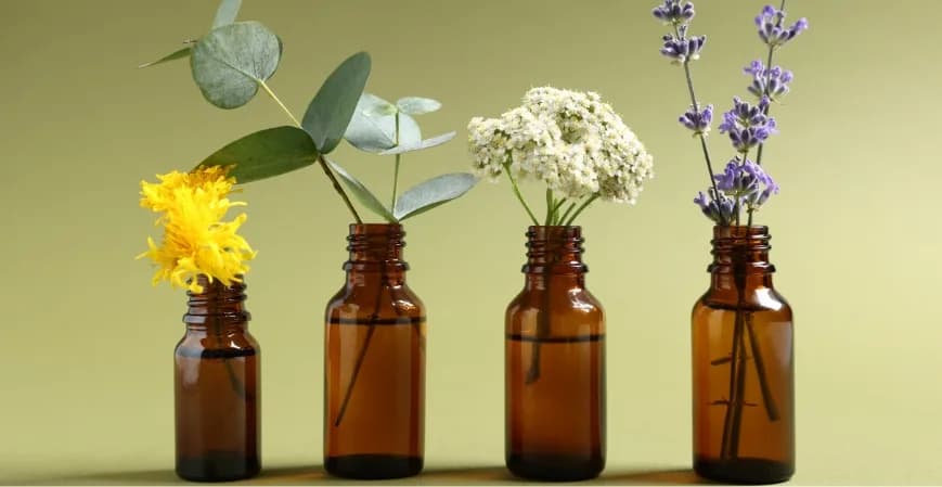 Los 5 Actores de Aromaterapia que Prosperan para Alcanzar Perdurabilidad en América Latina