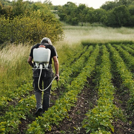 agricultura