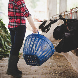 Nutrición y Bienestar Animal