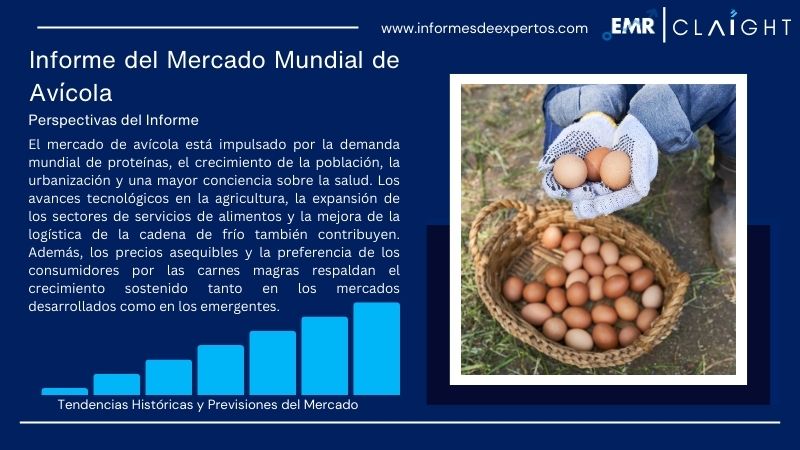 Informe del Mercado de Avícola