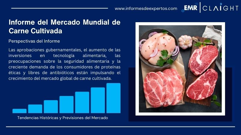 Informe del Mercado de Carne Cultivada