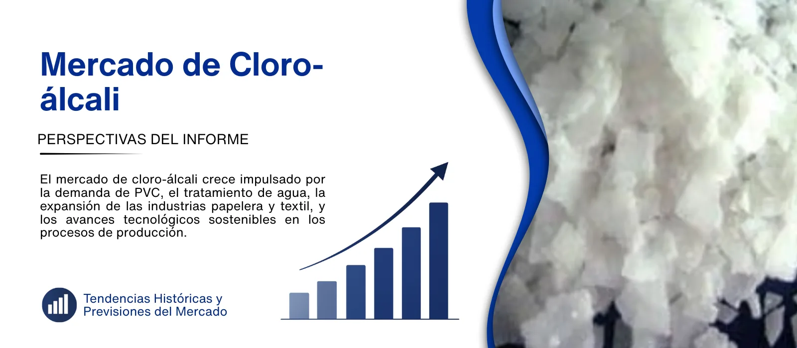 Informe del mercado de cloro alcali