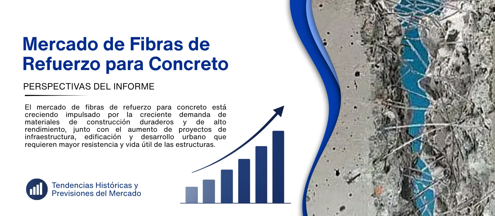 Informe del mercado de fibras de refuerzo para concreto