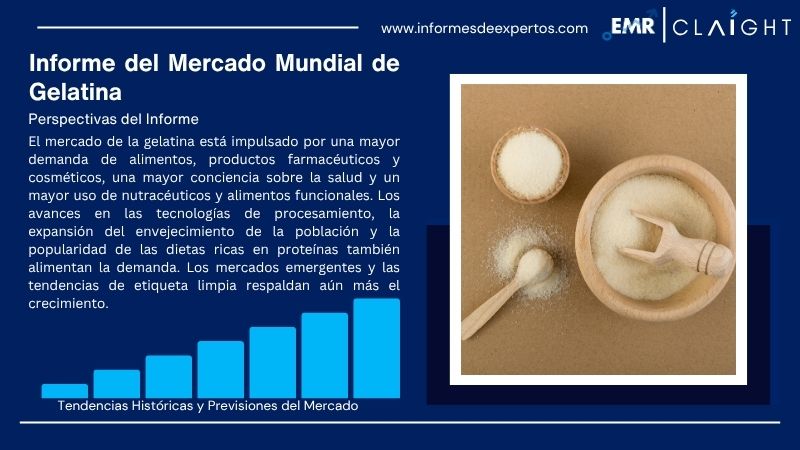 Informe del Mercado de Gelatina