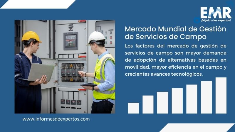 Informe del Mercado de Gestión de Servicios de Campo