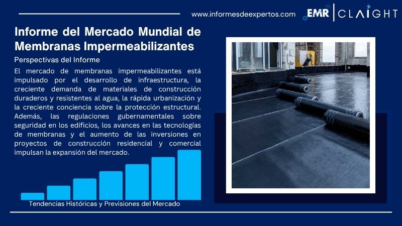 Informe del Mercado de Membranas Impermeabilizantes