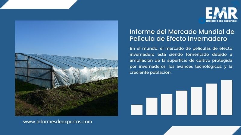 Informe del Mercado de Película de Efecto Invernadero