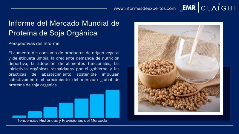 Informe del Mercado de Proteína de Soja Orgánica
