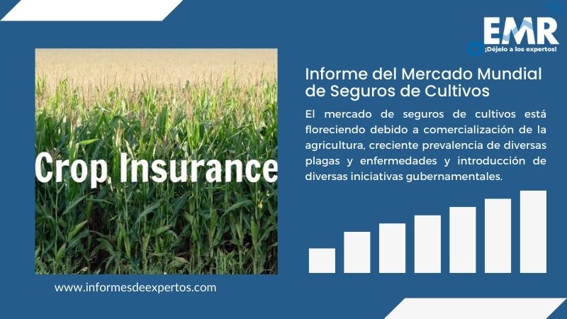 Informe del Mercado de Seguros de Cultivos