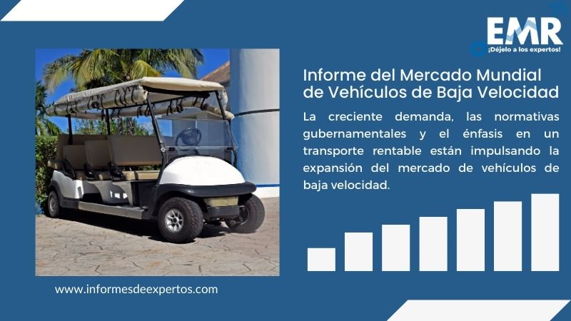 Informe del Mercado de Vehículos de Baja Velocidad