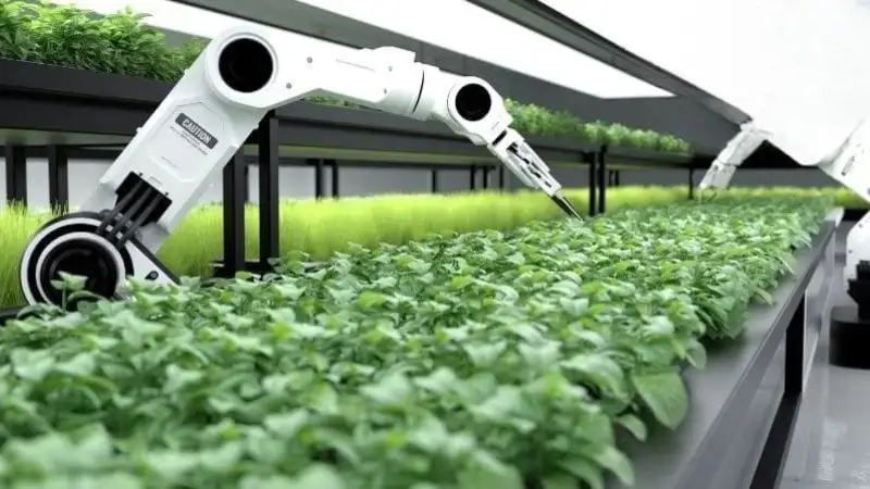 Las 4 Mejores Empresas de Robots Agrícolas en América Latina