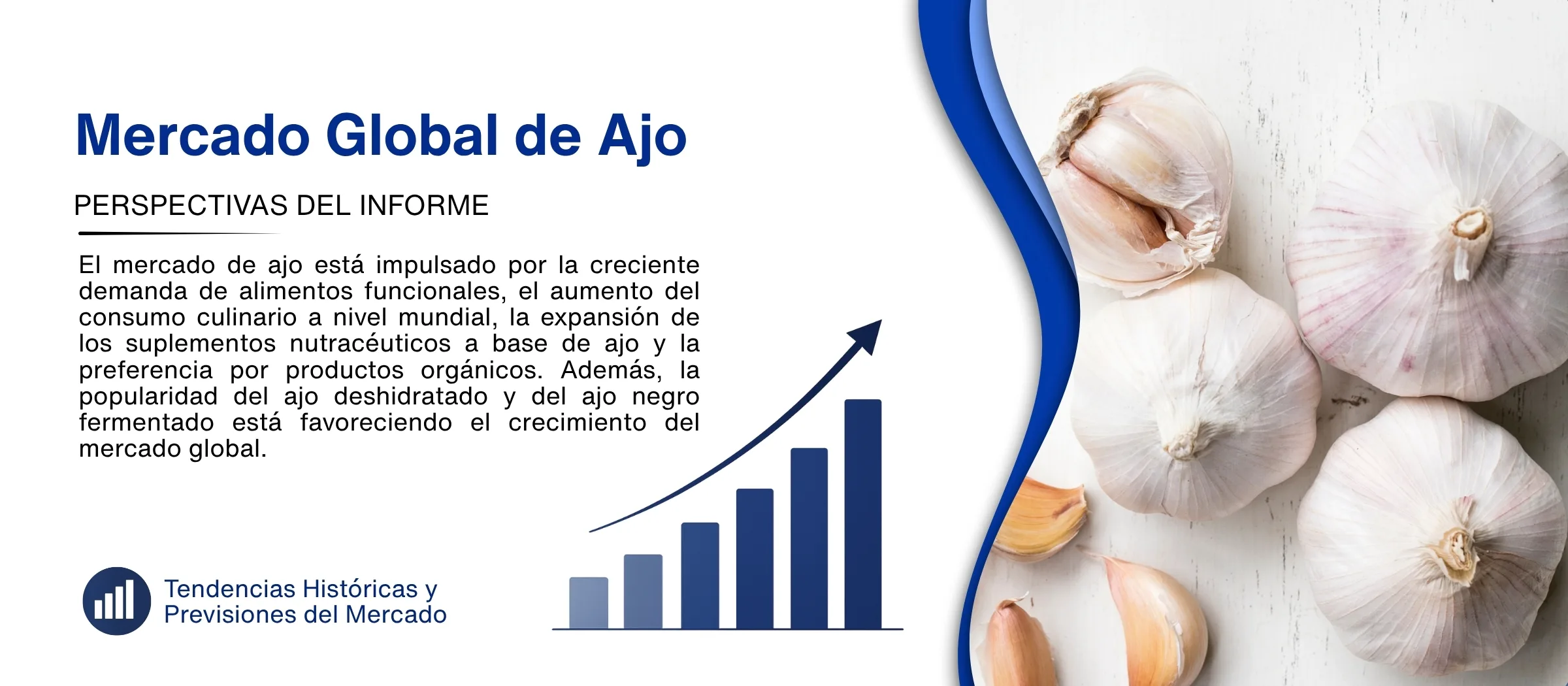 informe del marcado de ajo