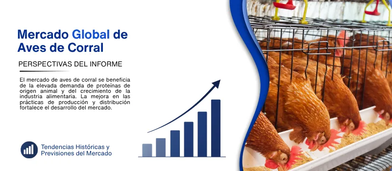 informe del Mercado de aves de corral