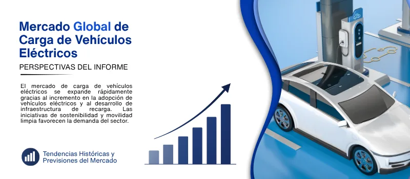 informe del mercado de carga de vehiculos electricos