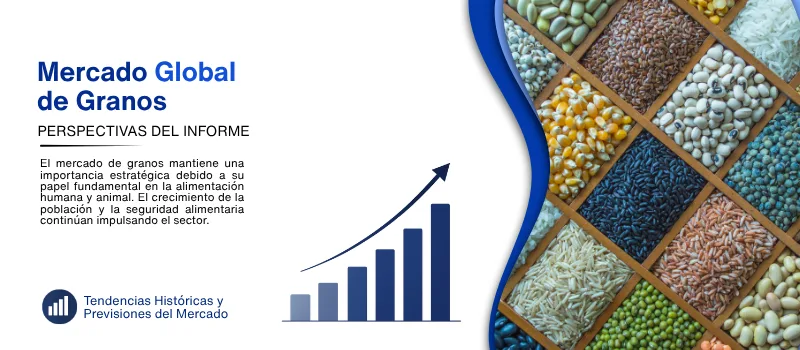 informe del Mercado de granos