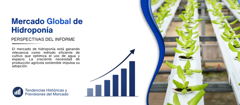 informe del Mercado de hidroponia
