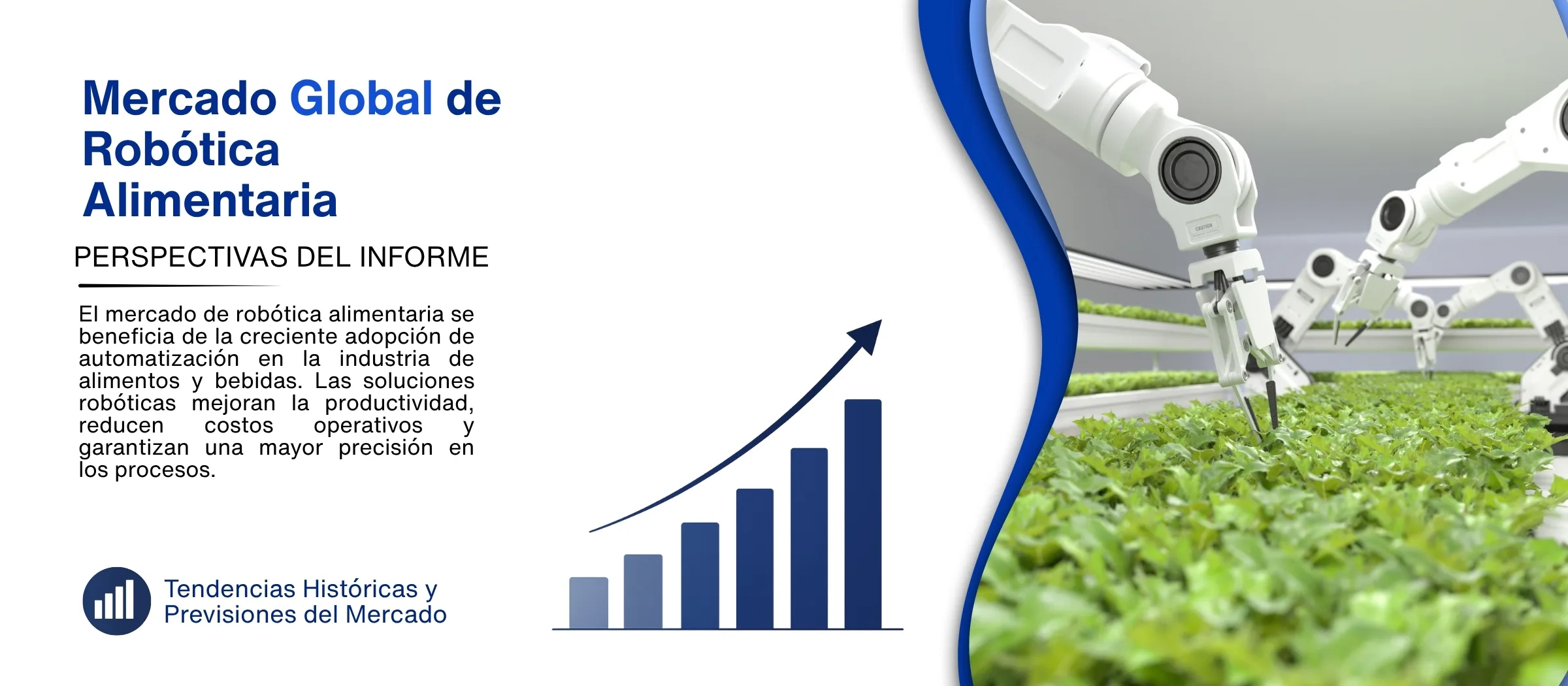 informe del marcado de robotica alimentaria