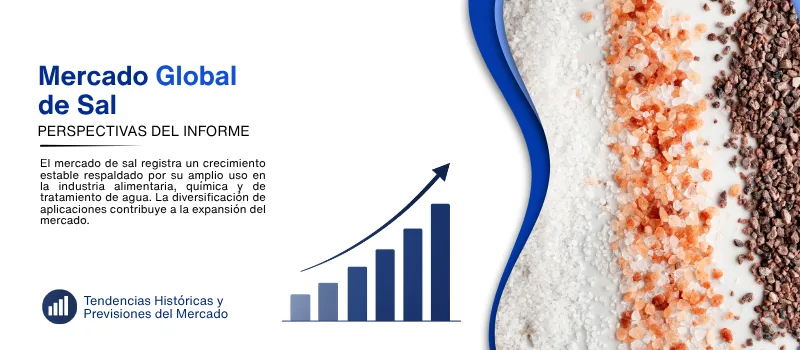 informe del Mercado de sal