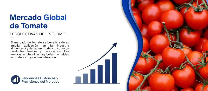 informe del Mercado de tomate