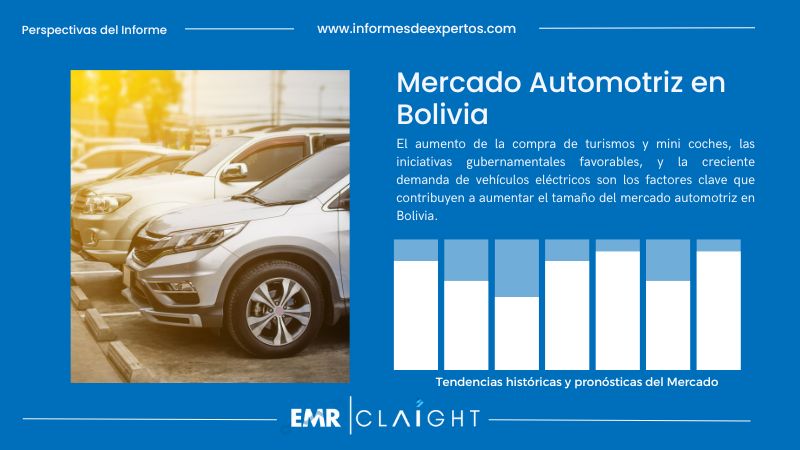 Informe del Mercado Automotriz en Bolivia