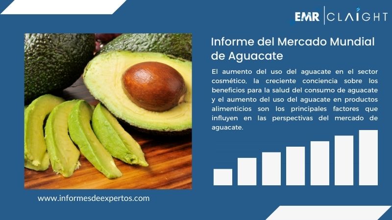 Informe del Mercado de Aguacate