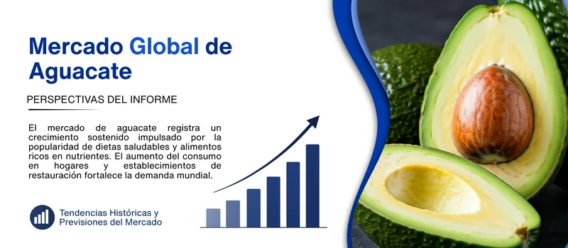 informe del Mercado de aguacate