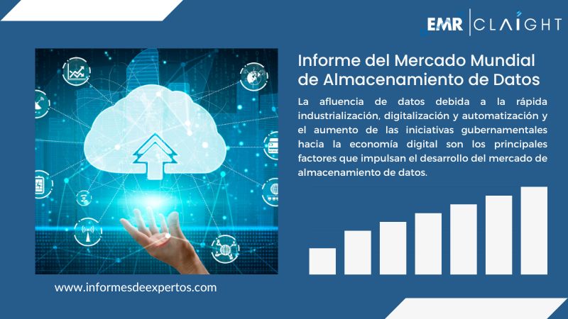 Informe del Mercado de Almacenamiento de Datos