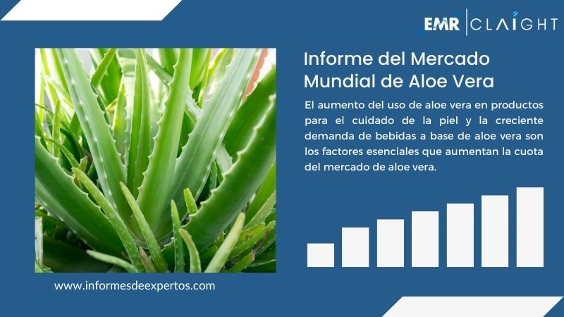 Informe del Mercado de Aloe Vera