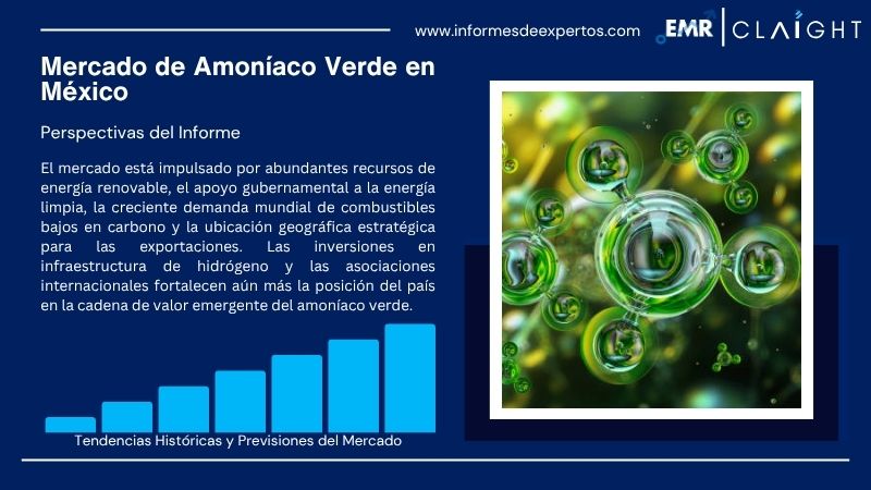 Informe del Mercado de Amoníaco Verde en México
