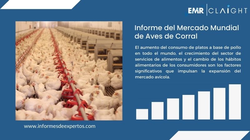 Informe del Mercado de Aves de Corral