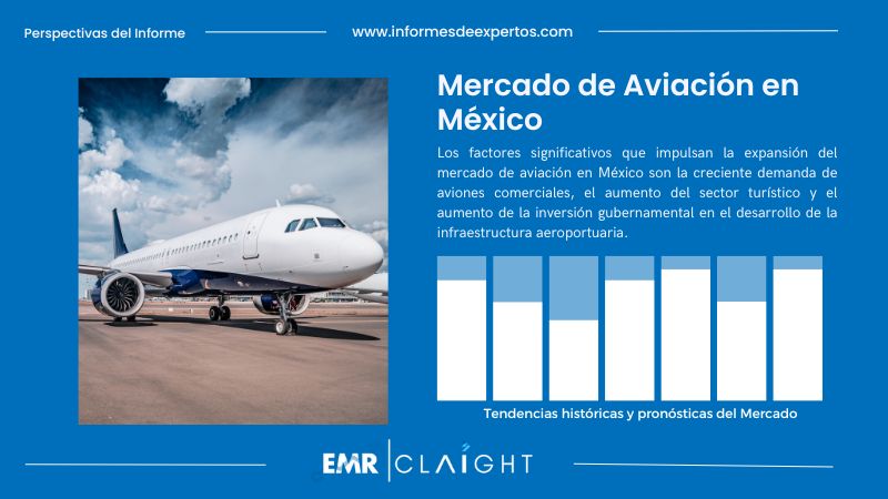 Informe del Mercado de Aviación en México
