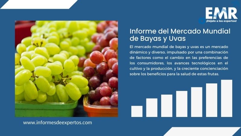 Informe del Mercado de Bayas y Uvas
