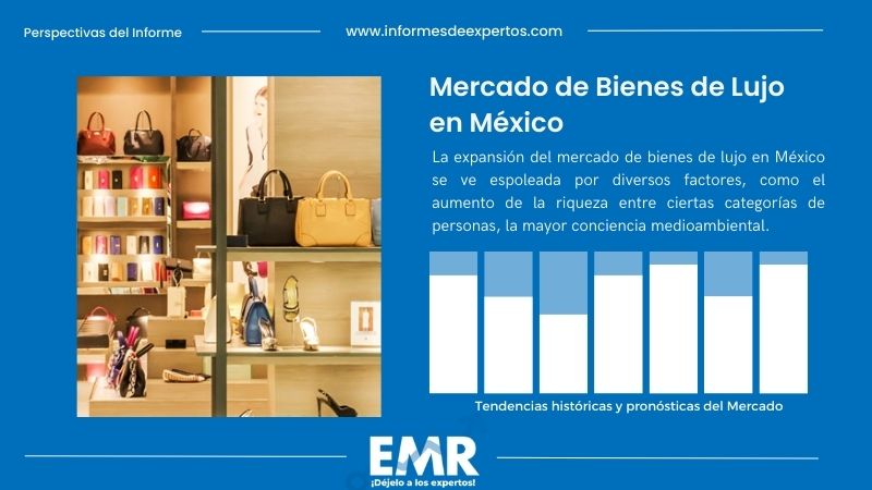 Informe del Mercado de Bienes de Lujo en México